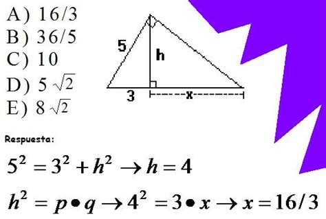 Matematica Primer Nivel Medio Educ Adultos Teorema De Euclides