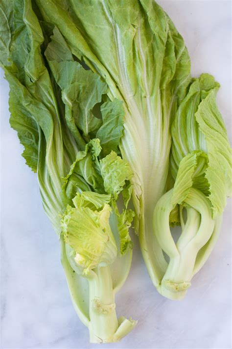 A Visual Guide To 10 Varieties Of Asian Greens Kitchn