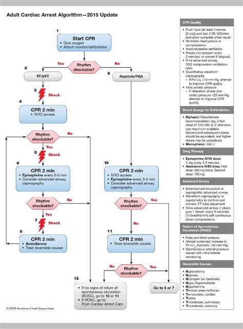 This is complete vinyl set of crash cart cards. Updated 2015 ACLS guidelines @ www.eccguidelines.heart.org | Acls algorithm, Aha 2015, Advanced ...