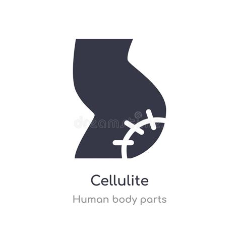 Cellulite Outline Icon Isolated Line Vector Illustration From Human