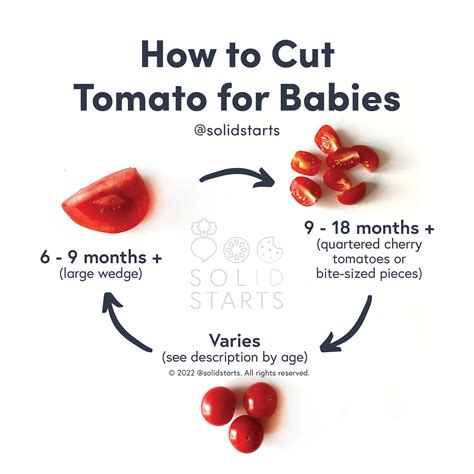 Tomato For Babies When Can Babies Eat Tomatoes Solid Starts