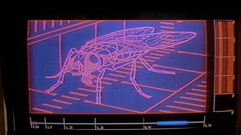 Official Trailer The Fly 1986 Youtube
