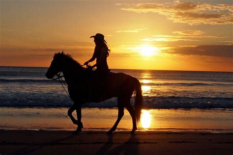 Pin by Bill Stevens on Cavalos | Sunset pictures, Horses, Sunset