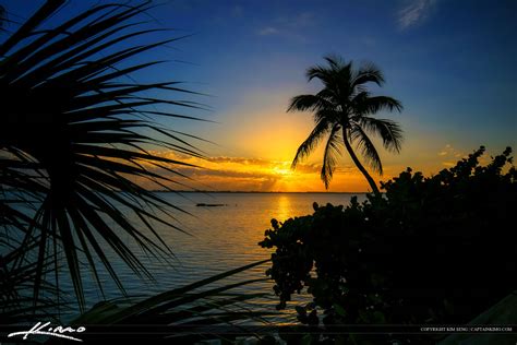 Palm Tree Sunrise At Indian Riverside Park Jensen Beach Hdr