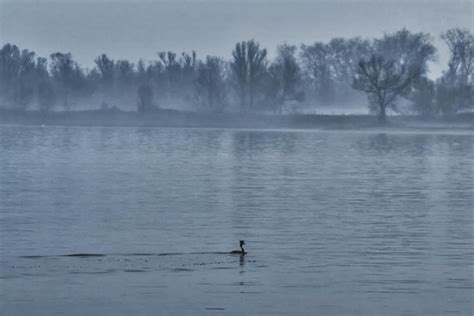 Free Picture Mist Water River Landscape Reflection Fog Lake