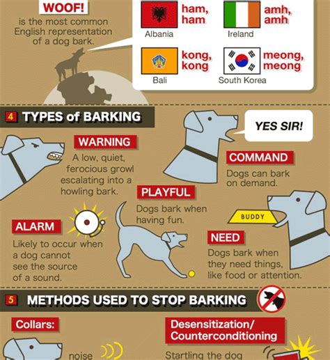 7 Facts About Dog Bark Infographic Best Infographics