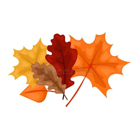 Autumn Leaf Vector Illustration Stock Vector Illustration Of Natural