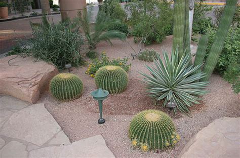 Front Yard Desert Landscaping Ideas On A Budget Cheap Landscaping