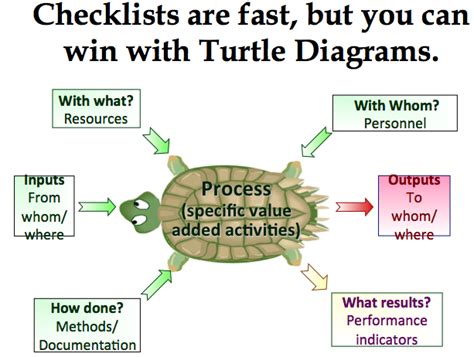 Diagram Of A Turtle