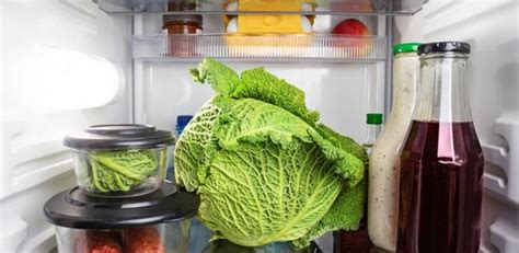 En General Dosis Poderoso Conservar La Lechuga En El Refrigerador