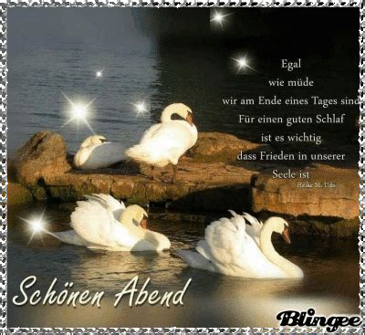 In der schule lernt lars englisch, franzeinersisch und latein. Einen schönen Abend wünsche ich Dir und später eine gute ...