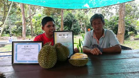 We did not find results for: Wong Durian House Balik Pulau - YouTube