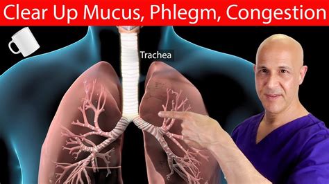 1 Cup A Dayclears Mucus Phlegm And Congestion Away Dr Mandell Youtube