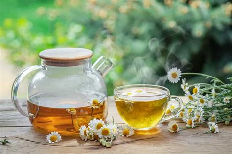 Chamomile Tea A Caffeine Free Brew With Countless Health Benefits
