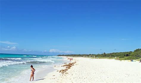 The 6 Best Beaches In Playa Del Carmen Youll Love Images