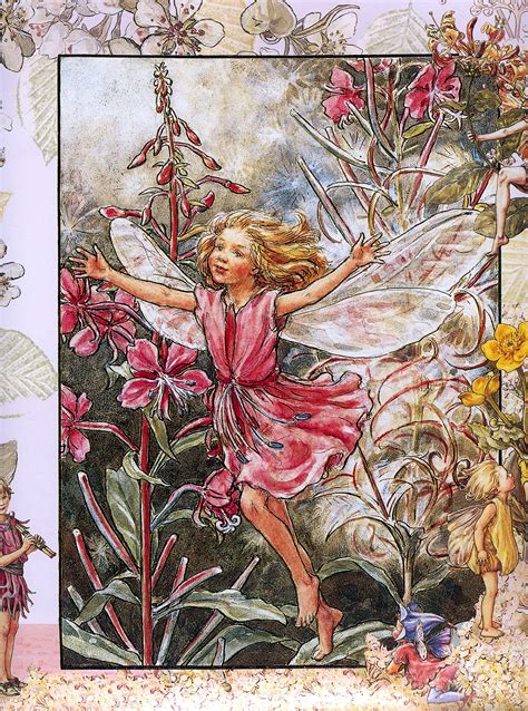 Cicely Mary Barker 18951973 The Rose Bay Willow Herb Fairy