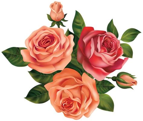 Beautiful Roses Clipart Image Rose Flower Wallpaper Floral Image
