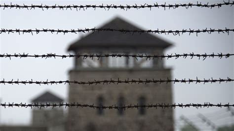 Austrians Are Forgetting The Holocaust Like Americans Survey Finds