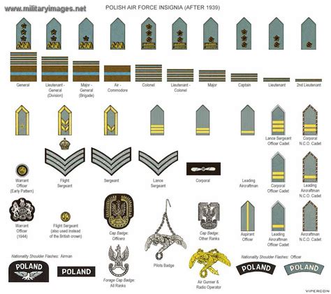 Polish Airforce Ranks After 1939 Militaryimagesnet