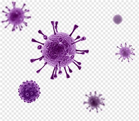 virus-graphy-disease-3d-rendering-others-png-clip-art - SharpLight