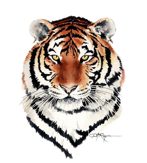Tiger Watercolor Painting Art Print By Artist Dj Rogers Etsy Tiger