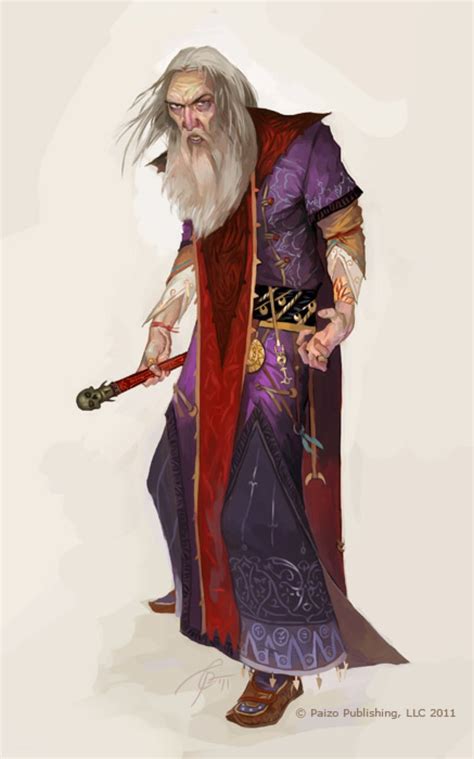 Evil Wizard Evil Wizard Fantasy Character Design Fantasy Wizard