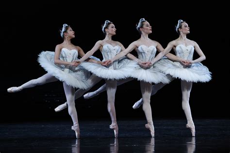 Swan Lake Wallpapers High Quality Download Free