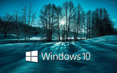 Windows 10 on snowy trees white text logo wallpaper - Computer wallpapers - #46970