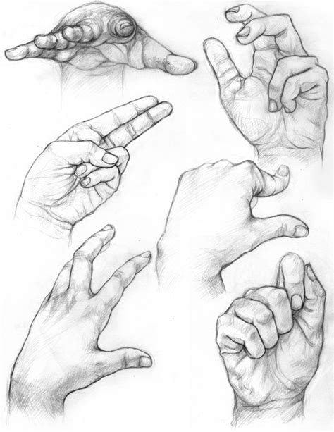Hand Studiesdrawing Wcontour Lines Drawing Techniques How To Draw