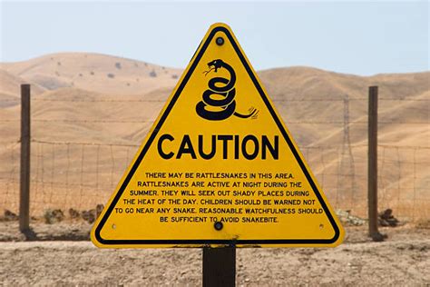 Beware Of Snakes Stock Photos Pictures And Royalty Free Images Istock
