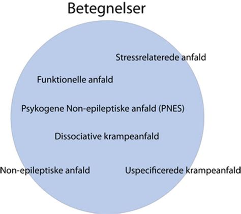 Ny Hjemmeside Om Funktionelle Anfald Epilepsiforeningen