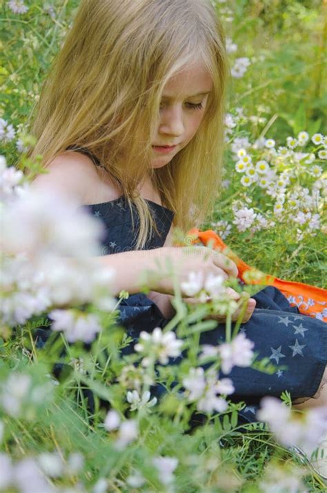 Portrait Of A Little Girl In A Summer Meadow Stock Photo Image Of