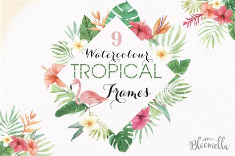 Tropical Watercolor Clipart Frames Border Flamingo Flowers