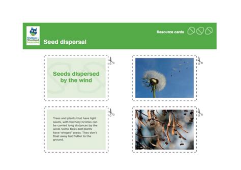 Seed Dispersal Resource Cards Owls