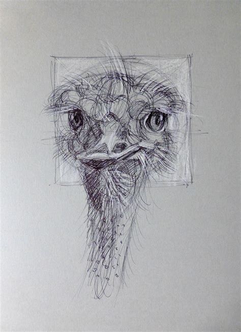 Ostrich By Ronni Zettner Pen And Chalk On Paper 21 X 30 Cm Cool Art Art Humanoid Sketch