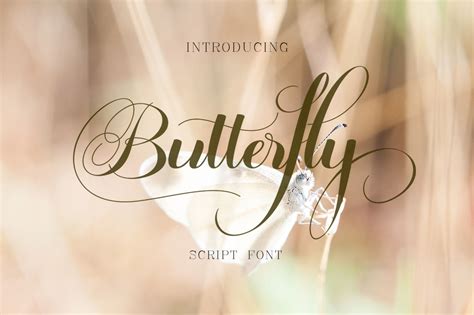 Butterfly Script By Shape Studio