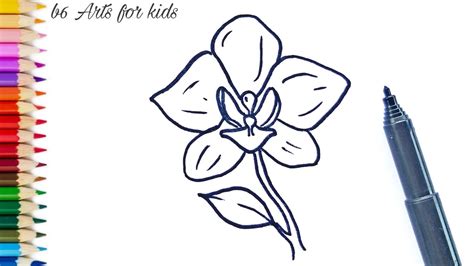 How To Draw An Orchid Flower Youtube