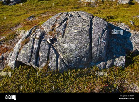 Frost Shattering Norway Hi Res Stock Photography And Images Alamy