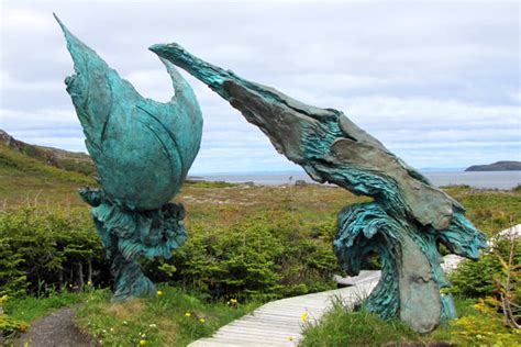Western Newfoundland Experience And Unesco World Heritage Tour 7 Day