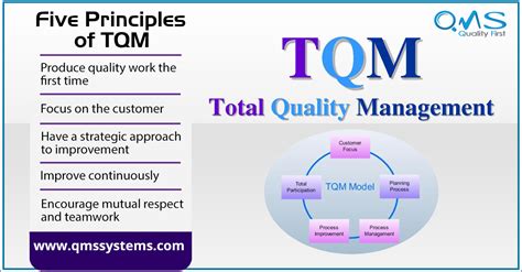 Total Quality Management Principles