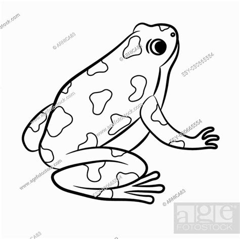 Cartoon Of Poison Dart Frog Coloring Page Vector Stock Vector