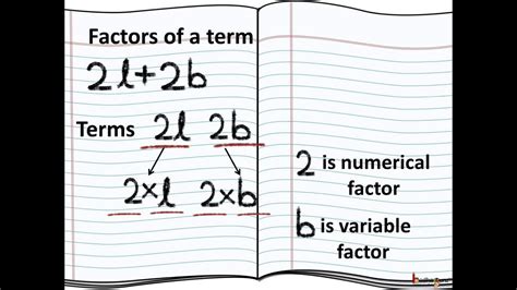 Math What Are Algebraic Term Factor And Coefficient English Youtube