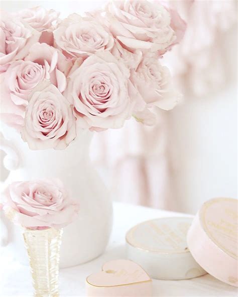 Rose Gold Aesthetic Pastel Pink Aesthetic Flower Aesthetic Pink