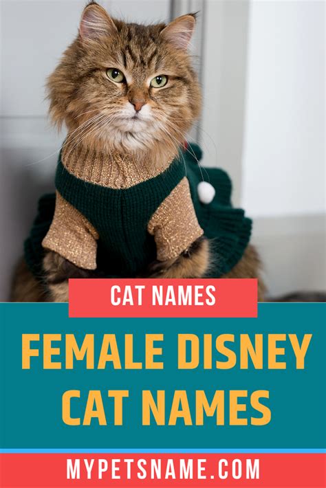 Ginger Cat Names Disney