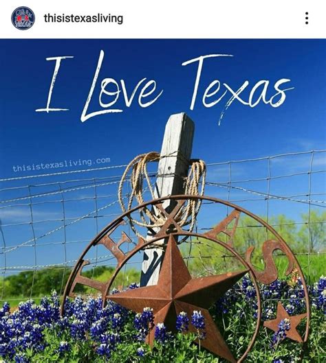 Pin By Melinda King Hooper On Texas My Texas Floral Wall Art Flower