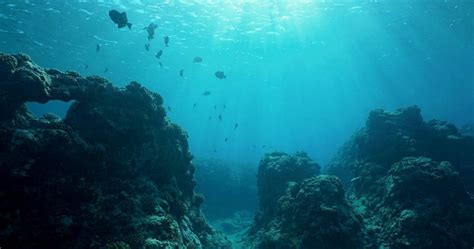 We did not find results for: pacific-ocean-floor-underwater-seascape-future-of-energy ...