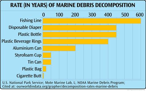 Chart Of Marine Debris Decomposition The Global Education Project