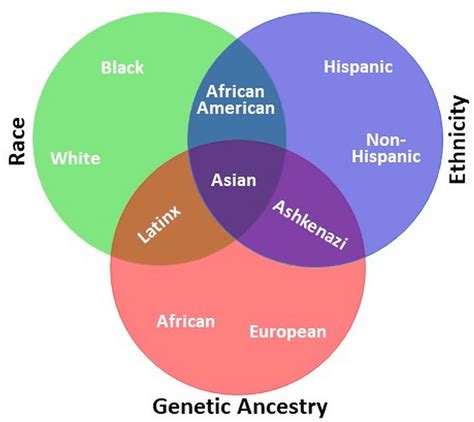 The Use And Relationship Of Racial Ethnic And Ancestral Categories Download Scientific