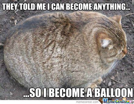 But have you been coming across fat cat memes? Balloon Cat by gunnergcx - Meme Center