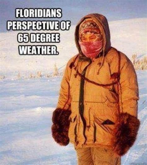 Pin By Cari Goldman On Florida Florida Funny Cold Weather Funny